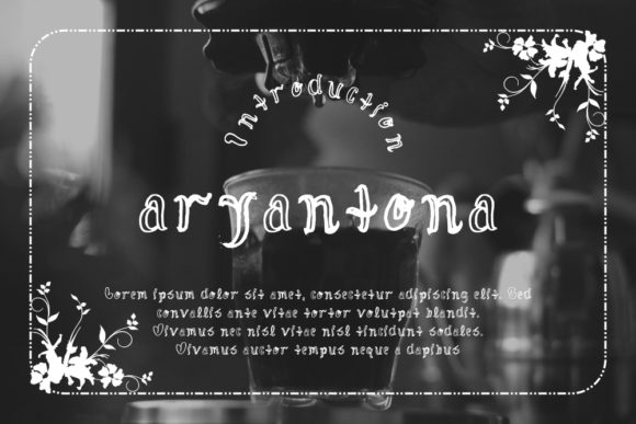 Aryantona: A Unique Blend of Art and Function