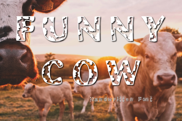 Discover the Charm of Funny Cow: A Cute and Quirky Display Font