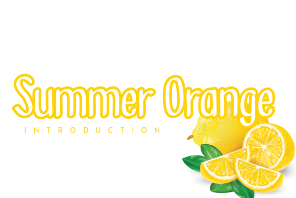 Summer Orange: A Versatile Display Font for Creative and Professional Workflows